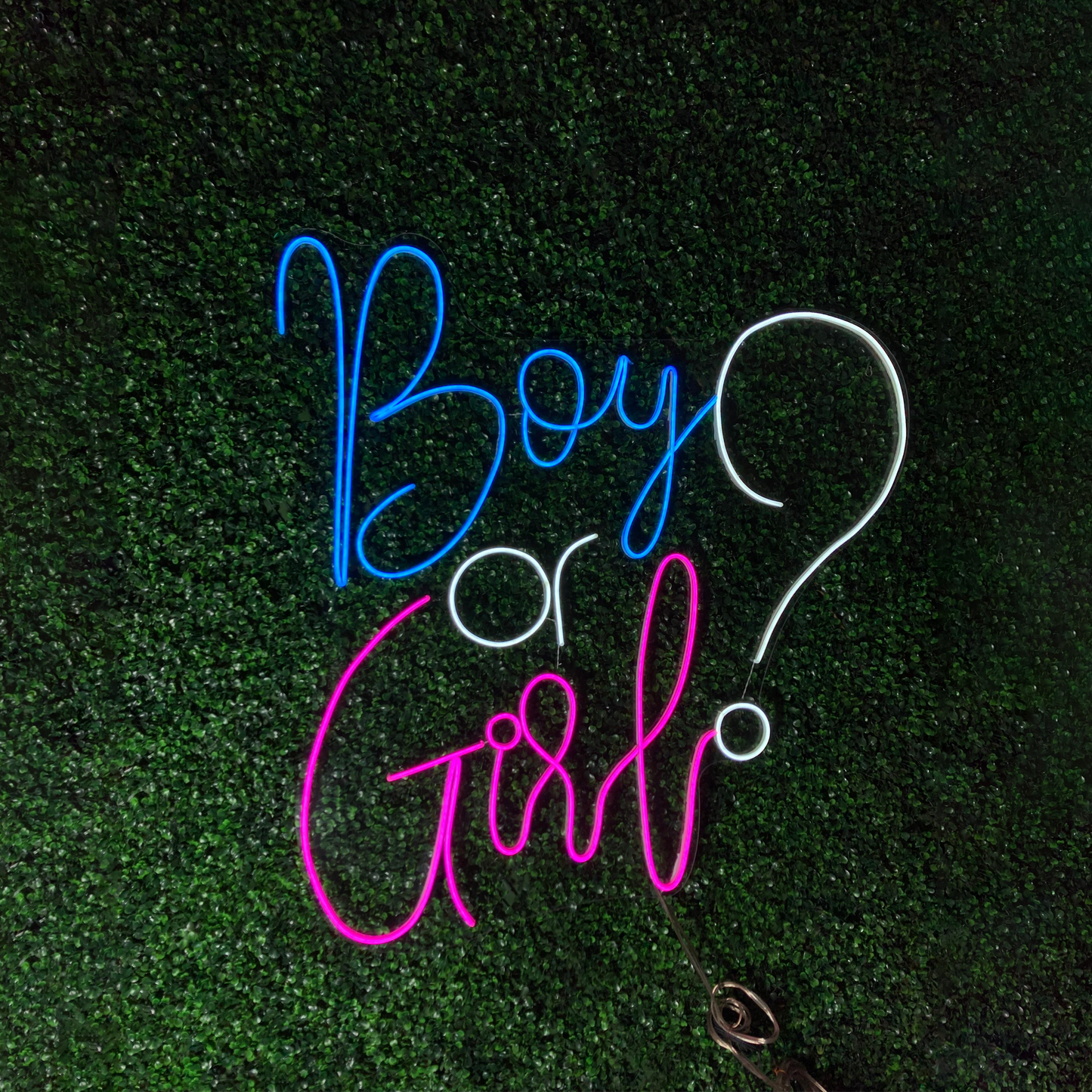 Boy or Girl? LT