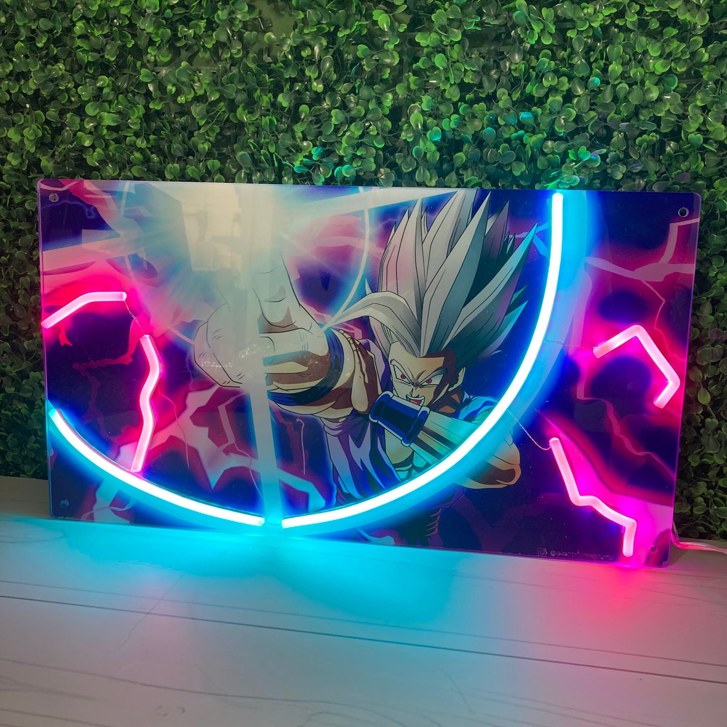 Dragon Ball LT