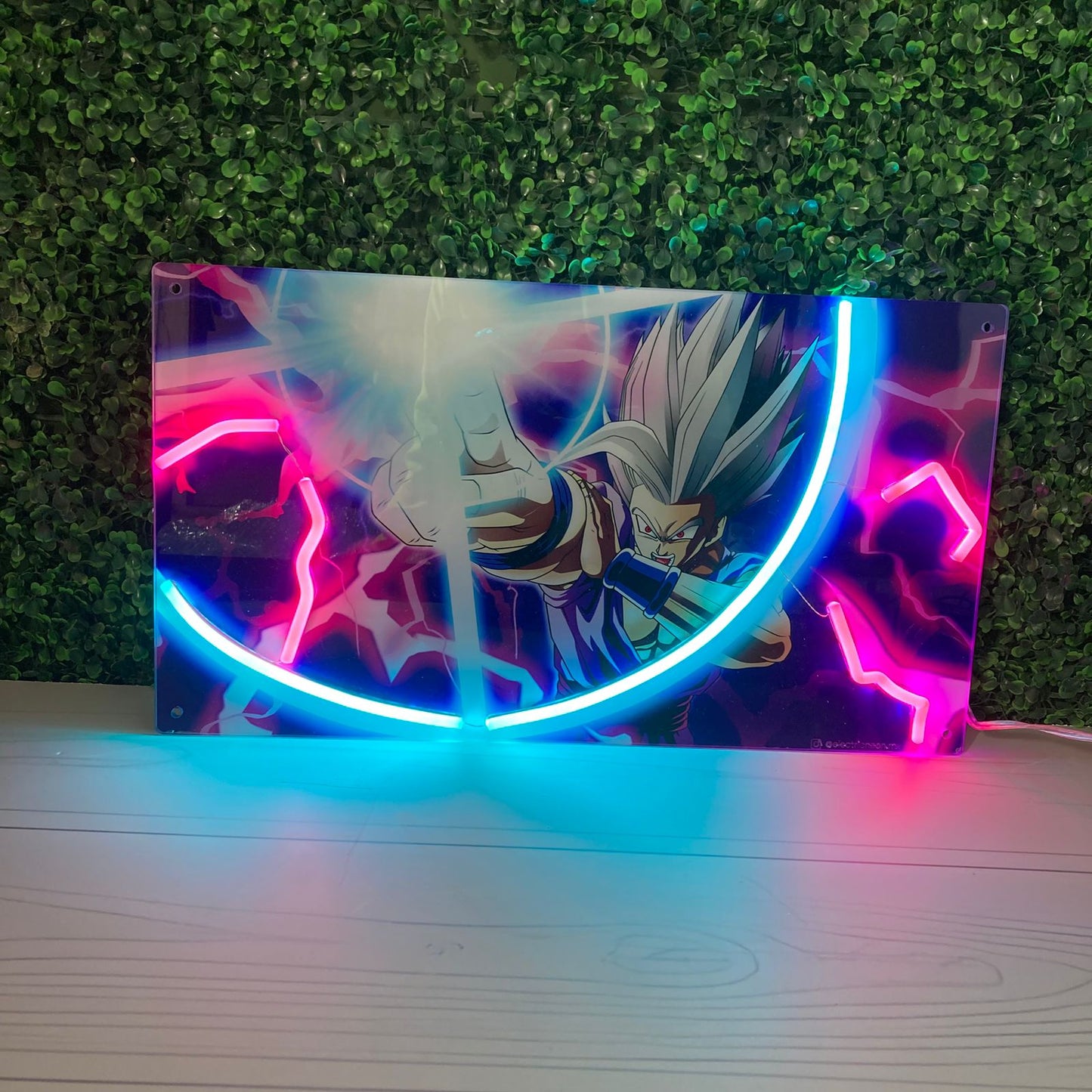 Dragon Ball LT