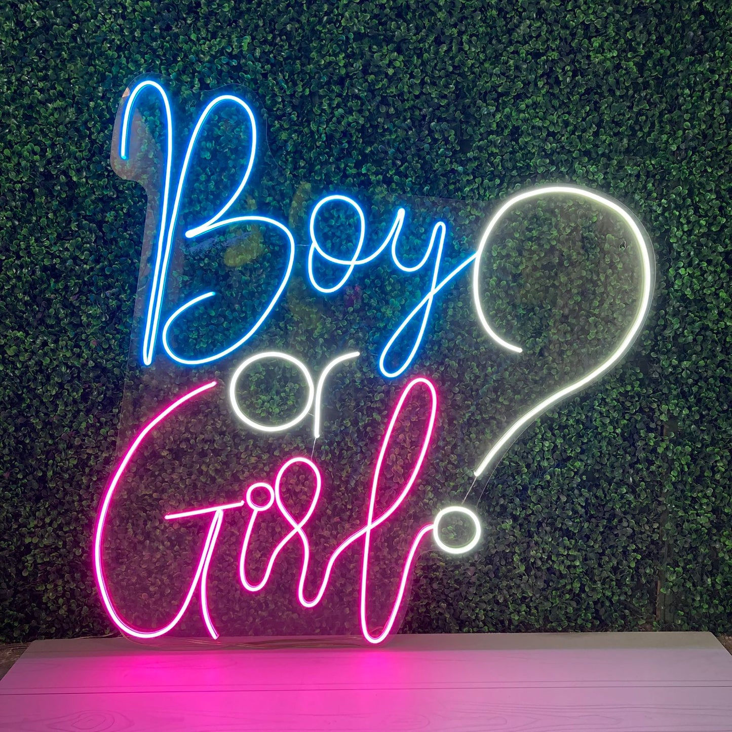 Boy or Girl? LT