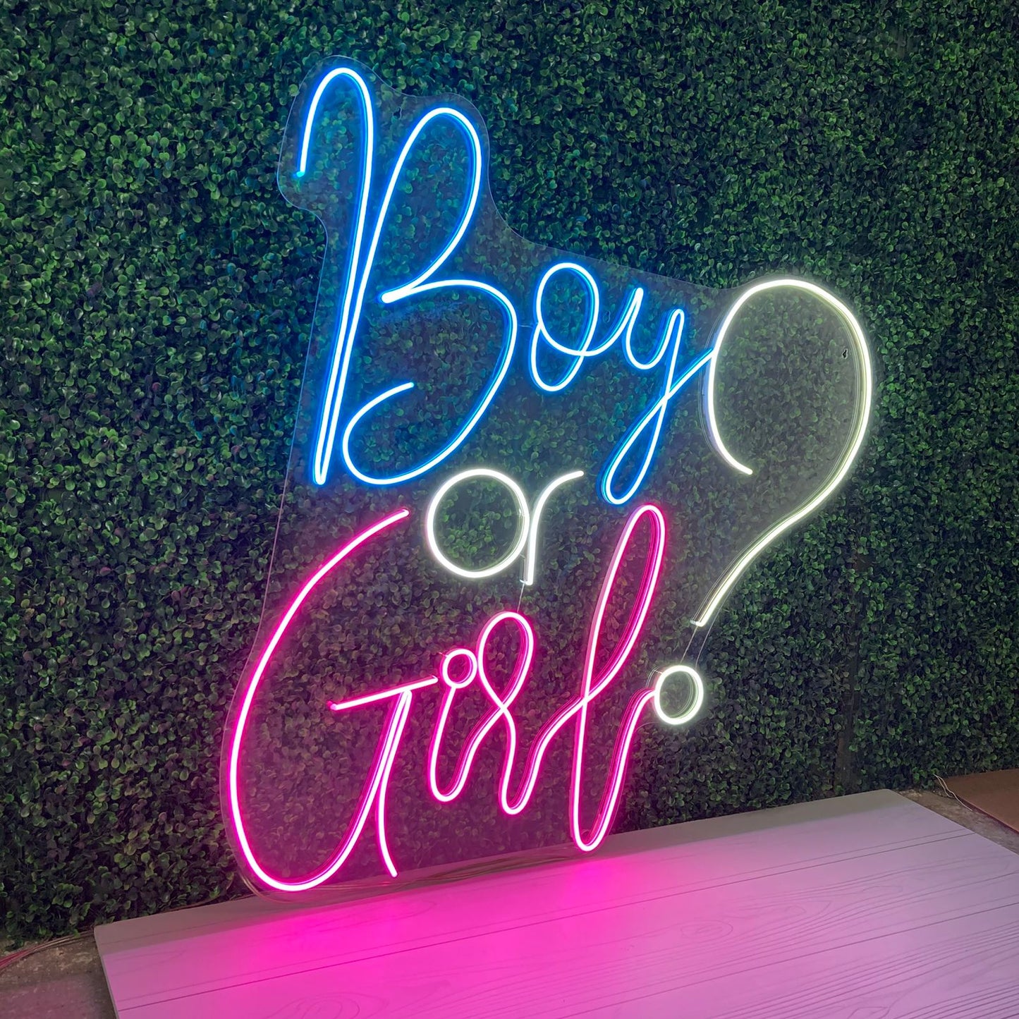 Boy or Girl? LT