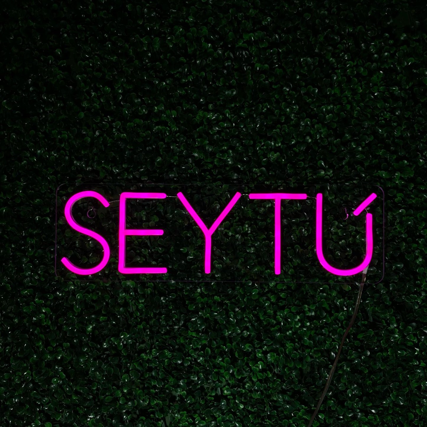Seytú