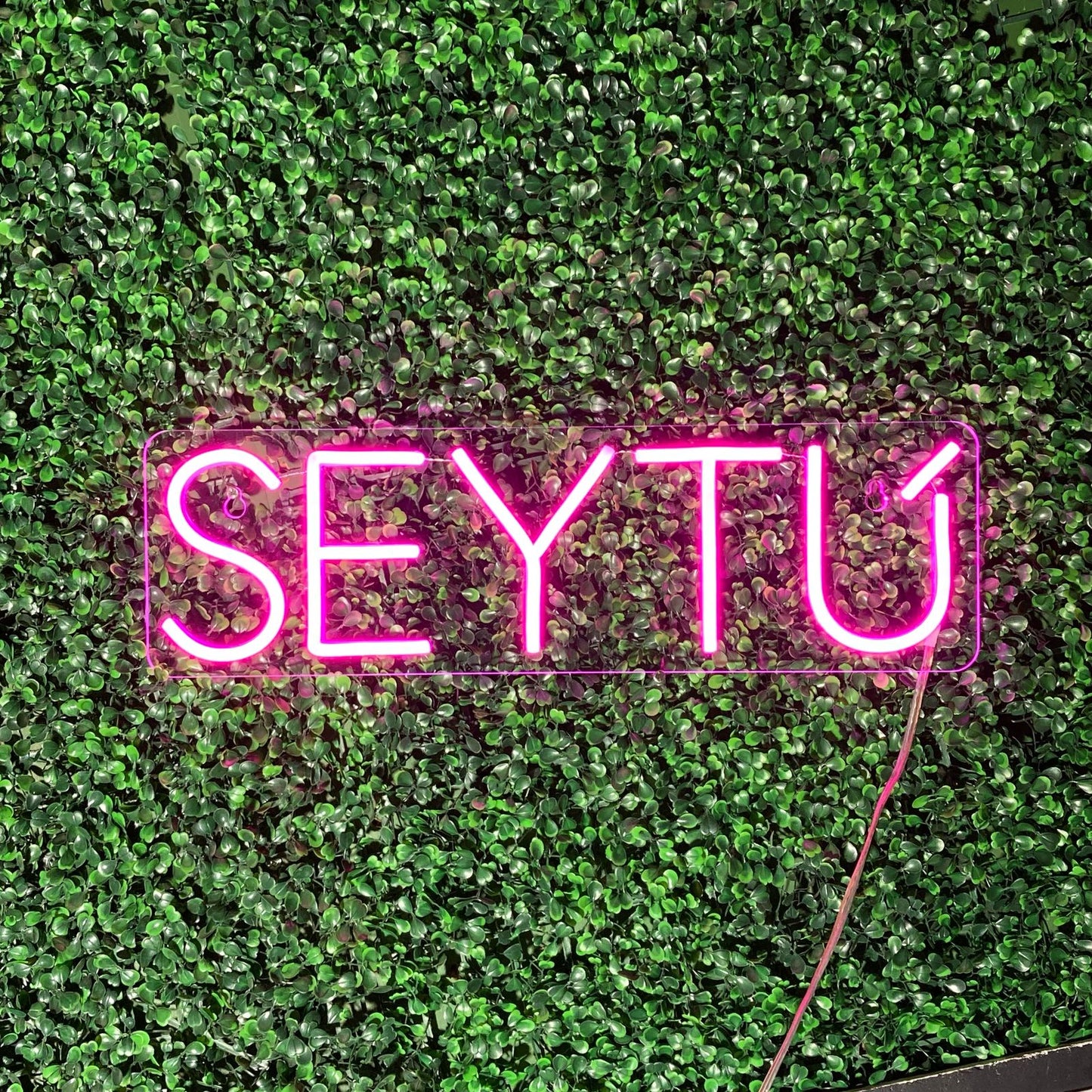 Seytú