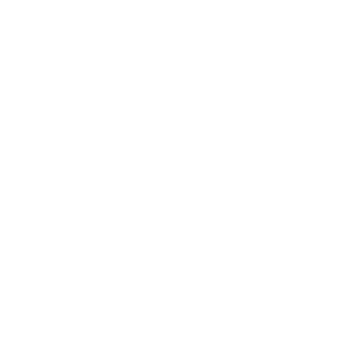 Kingston Fury