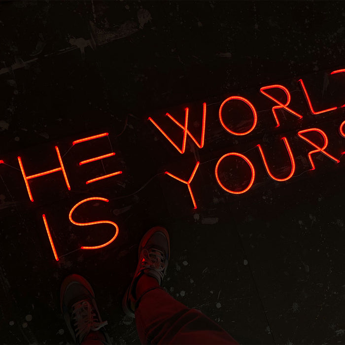 The World Is Yours