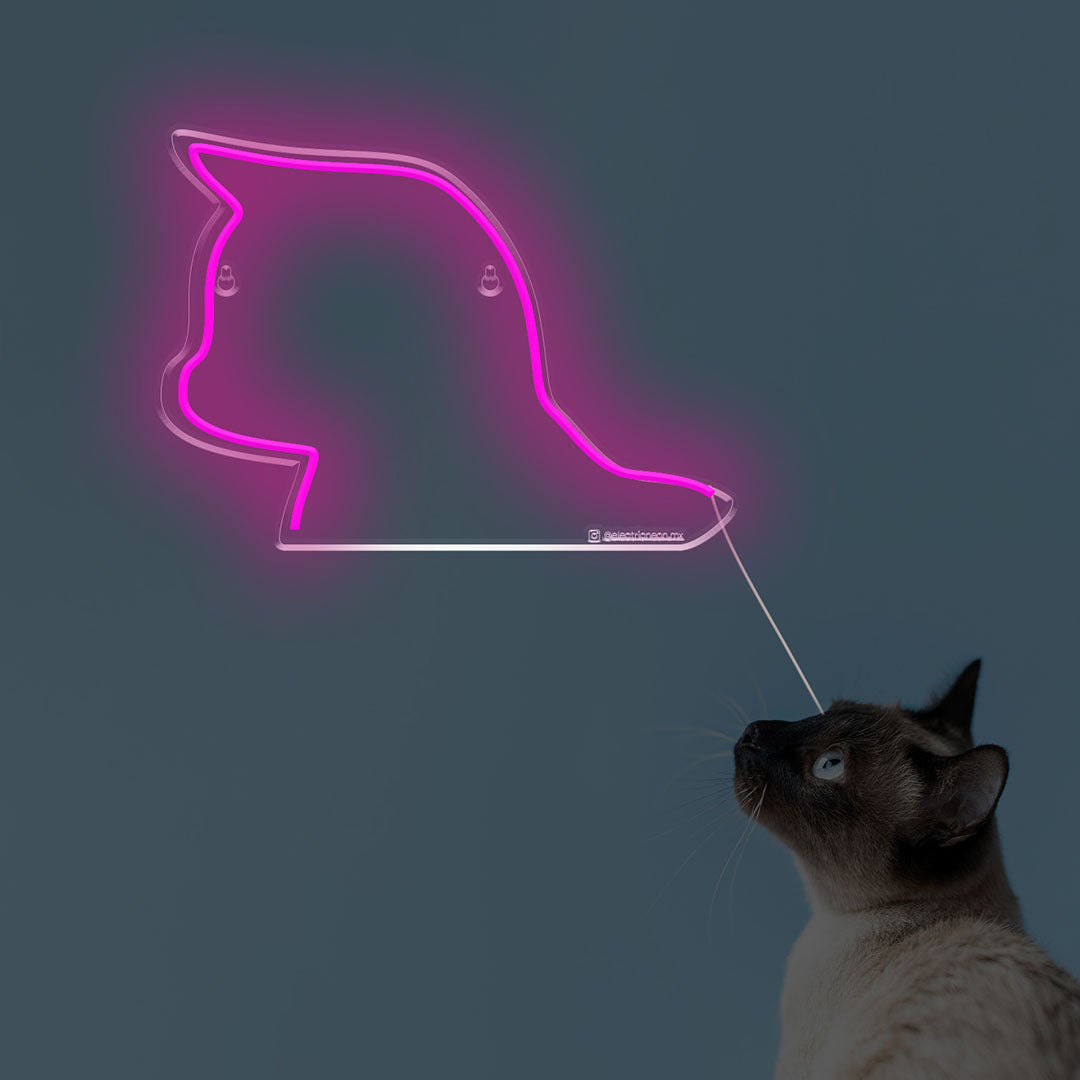 Gato