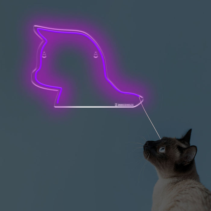 Gato